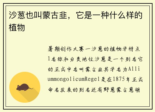 沙葱也叫蒙古韭，它是一种什么样的植物