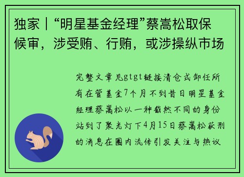 独家｜“明星基金经理”蔡嵩松取保候审，涉受贿、行贿，或涉操纵市场