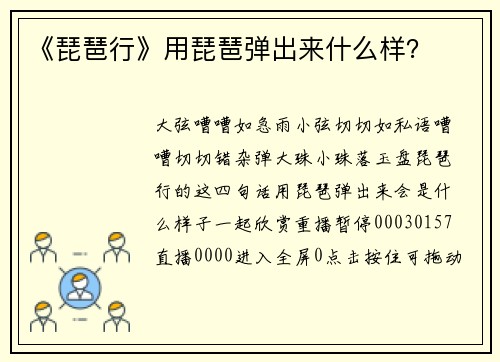 《琵琶行》用琵琶弹出来什么样? 《琵琶行》用琵琶弹出来什么样?