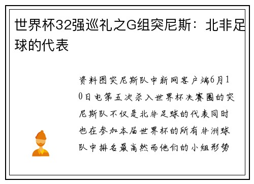 世界杯32强巡礼之G组突尼斯：北非足球的代表